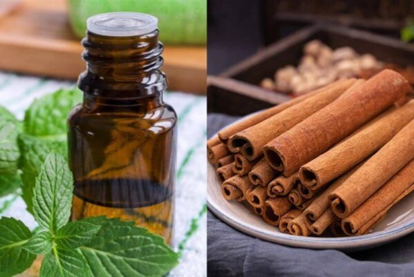 Tự pha dung dịch vệ sinh răng miệng từ thiên nhiên