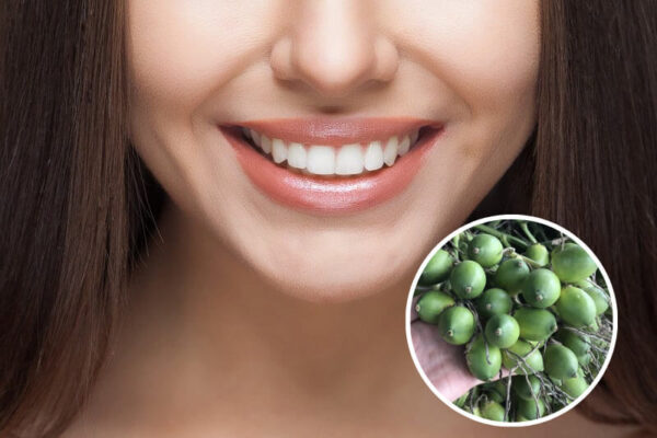 Cách làm trắng răng bằng cau là mẹo dân gian được nhiều người tin dùng